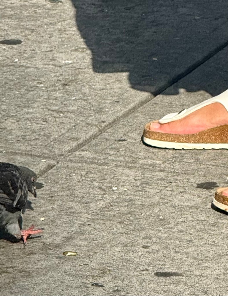 A close-up of a pigeon pecking at the ground next to a person's foot wearing a white sandal with a cork sole on a sidewalk.