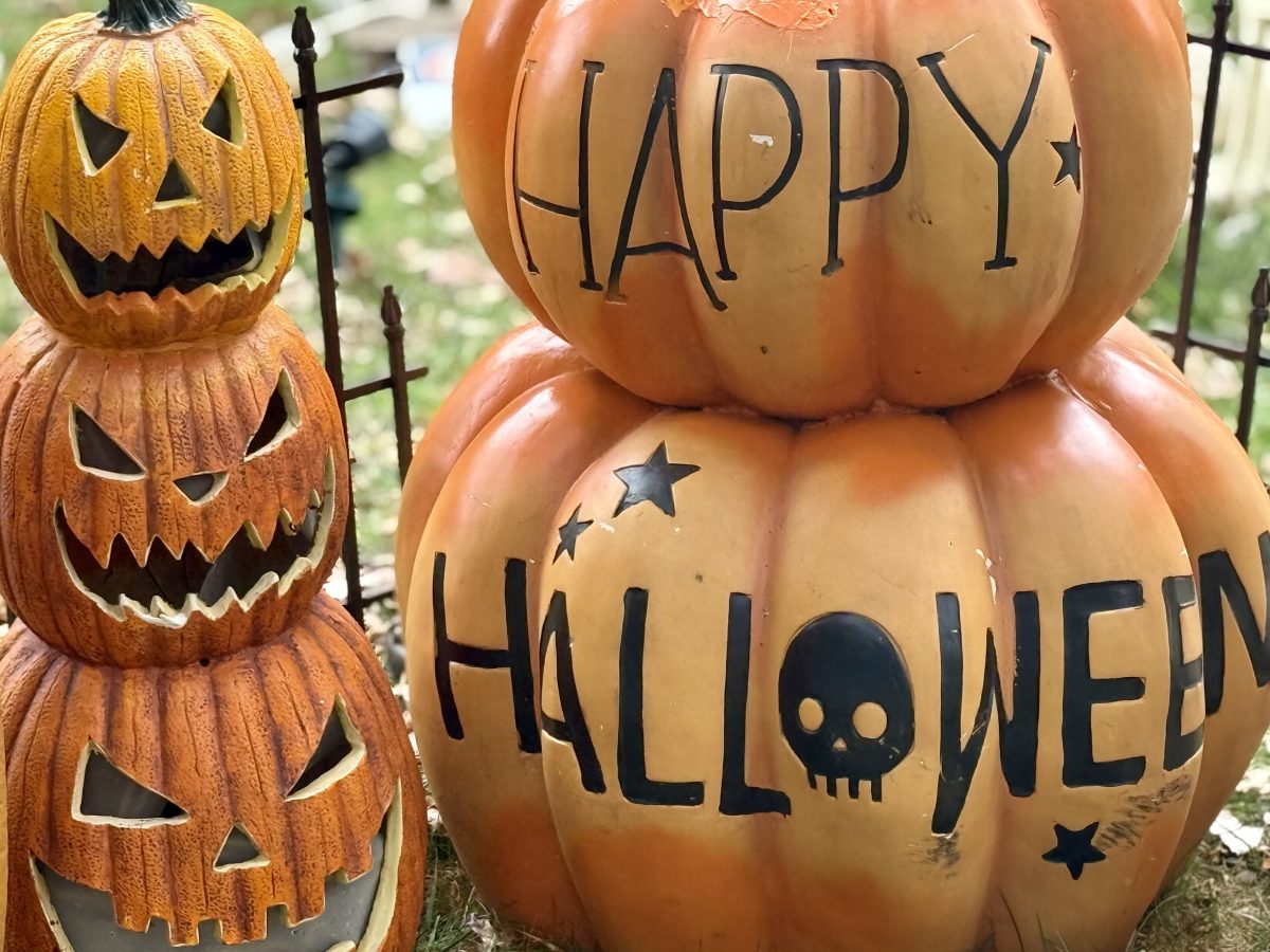 Photo Halloween Day!