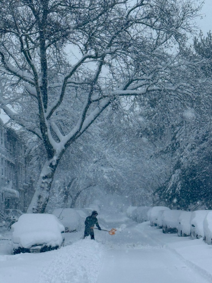 A person shoveling snow on a street covered in deep snow, with snow-covered cars lining both sides and trees in the background.