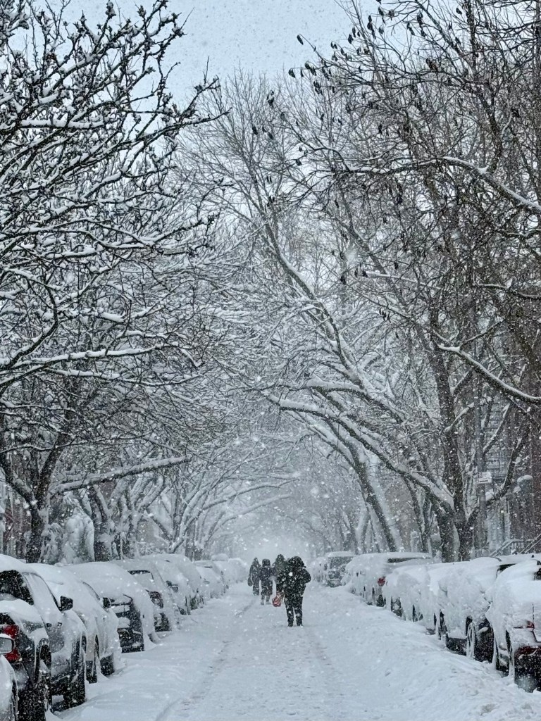 A snowy street lined with trees and parked cars, featuring pedestrians walking through deep snow during a snowstorm.
