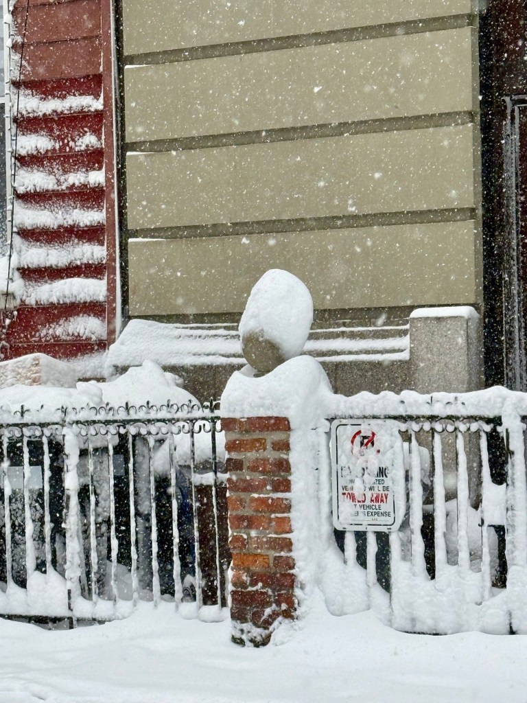 A snow-covered street scene showing a brick fence partially buried in thick snow, with a sign indicating towing policy visible in the background and large snowflakes falling heavily.