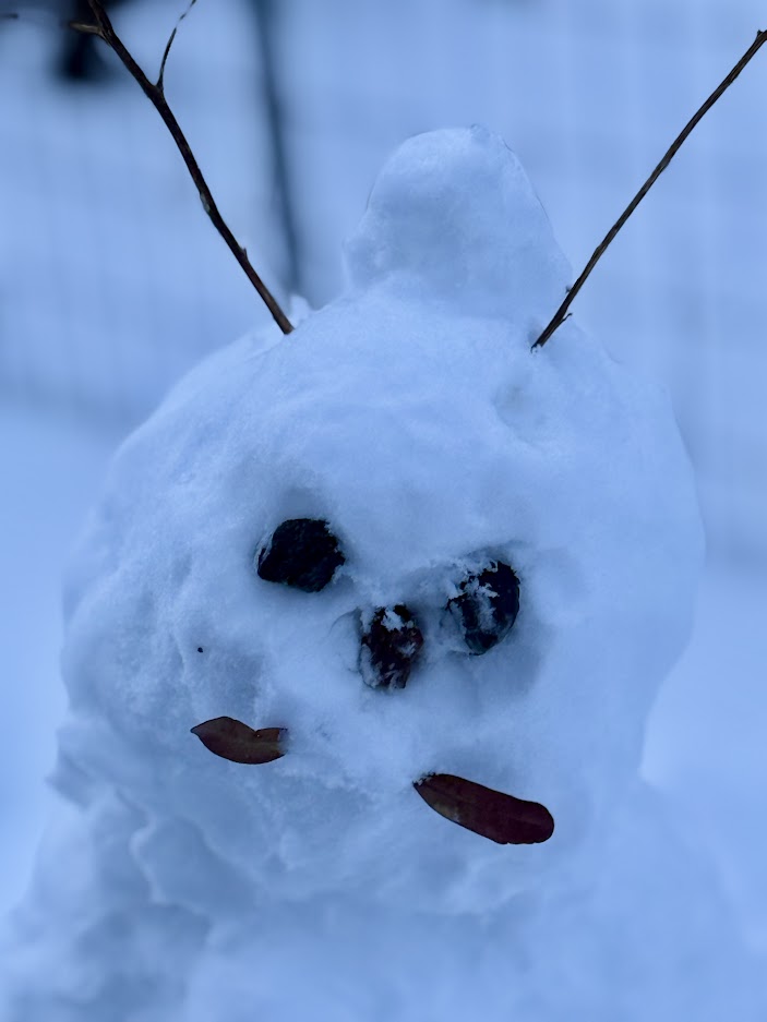 A snowman with branches for antennae, a face made of rocks and leaves, set against a snowy background.