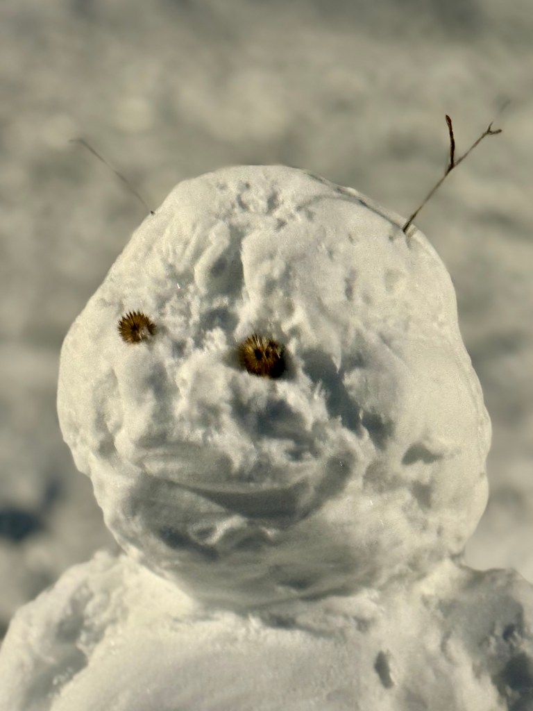 Close-up of a snowman with twigs for arms and plant materials for eyes, set against a snowy background.