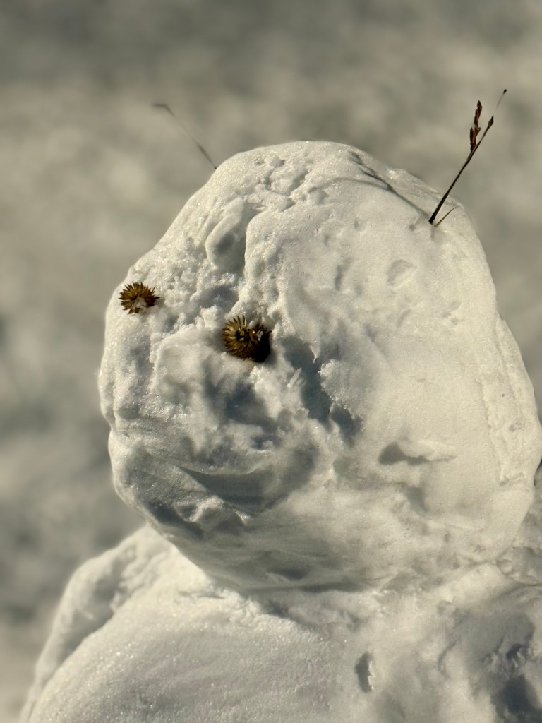 A close-up of a snowman with eyes made of small flowers and twigs for hair, against a blurred snowy background.