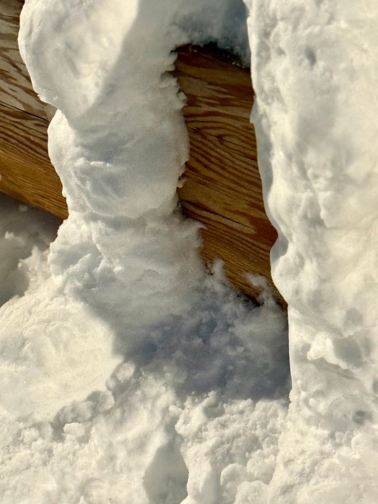Close-up of snow covering a wooden surface with a soft texture.