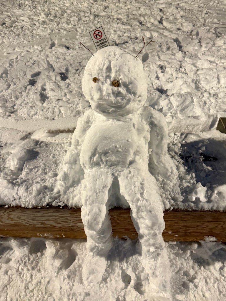 A snowman wearing a sign that says 'No Dogs Allowed', with twigs for arms and eyes made of small stones, set against a snowy background.