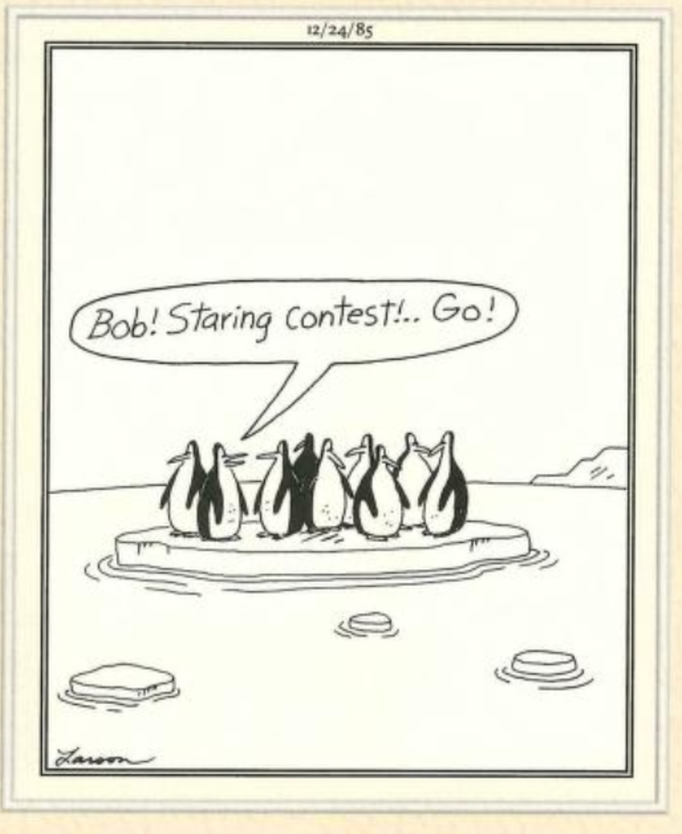 10 Funniest Far Side Comics About Winter Sports