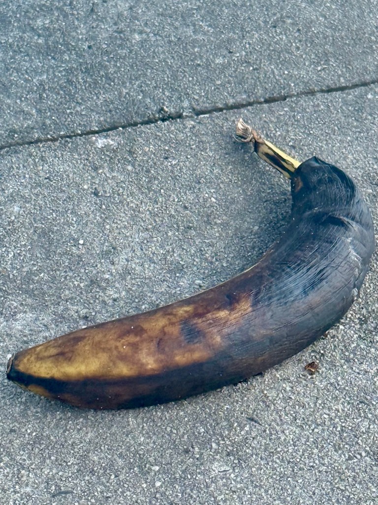 A blackened, overripe banana lying on a concrete surface.