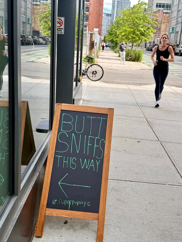 A sidewalk sign advertising 'BUTT SNIFFS THIS WAY' with an arrow pointing left, and the handle '@superpuppyc' below. A woman jogs past the sign along a city street.