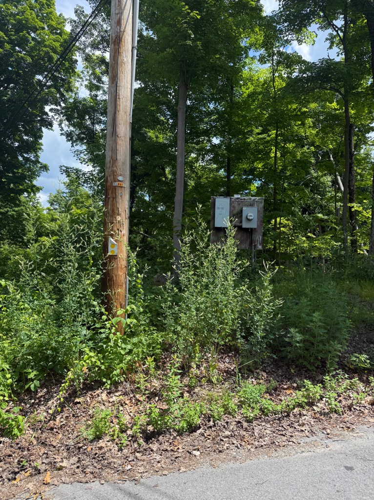 A wooden utility pole beside a road, with green foliage and undergrowth surrounding it. Two electrical boxes are mounted on the ground next to the pole.