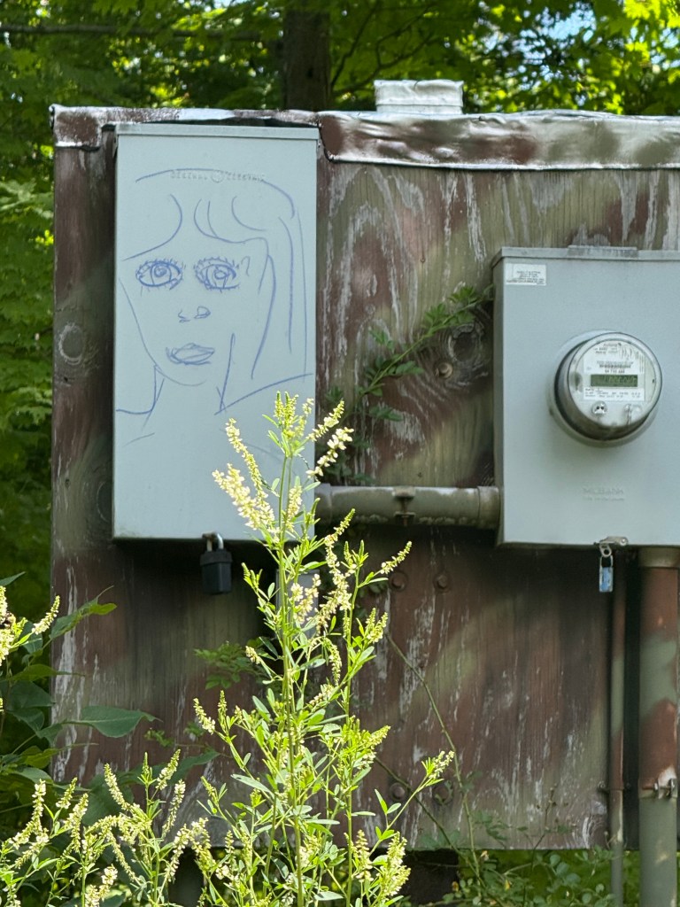 A drawing of a face with large eyes on a metal utility box, surrounded by green foliage and wildflowers.
