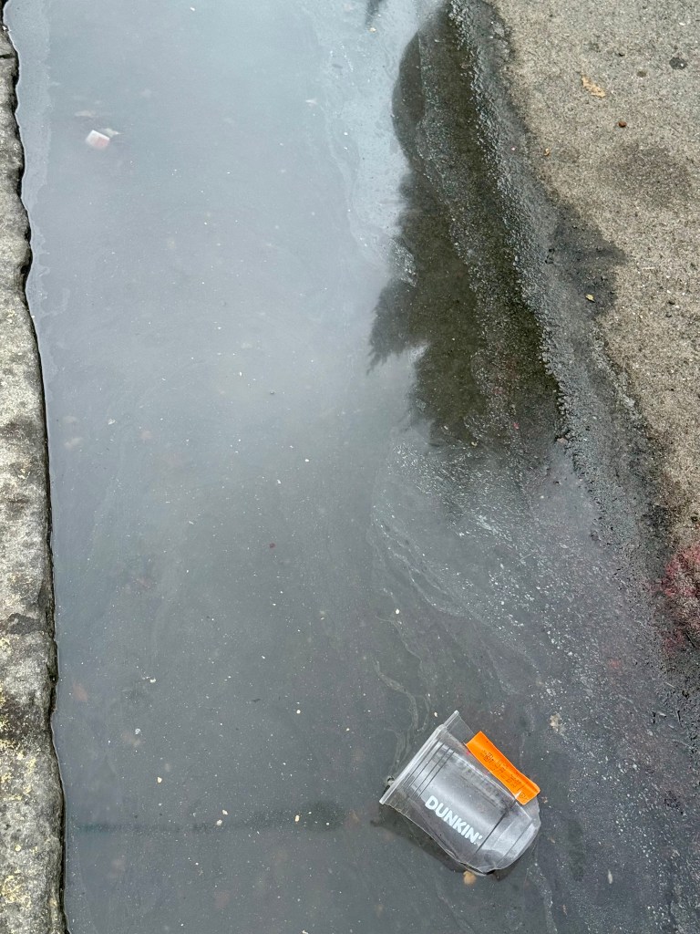 A discarded Dunkin' cup floating in a puddle of water beside a sidewalk.