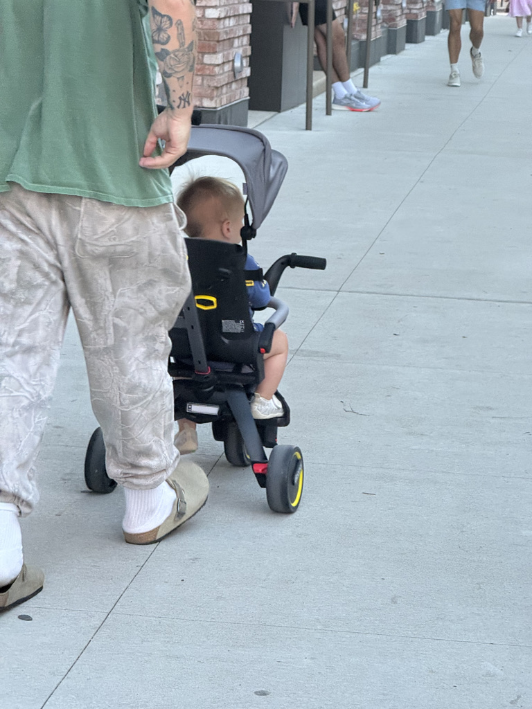 A person walking on a sidewalk pushing a toddler in a stroller, with a background of brick buildings and other pedestrians.