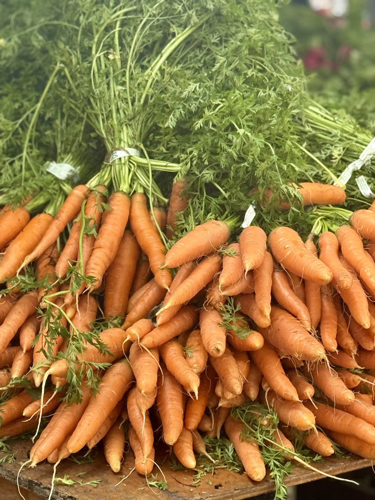 A bunch of freshly harvested carrots with green tops, piled on a wooden table.