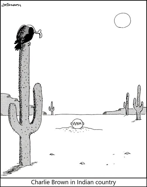 A black and white cartoon depicting a tall cactus with a vulture perched on top, a dry desert landscape in the background, and a small figure resembling Charlie Brown lying in the sand under the sun.