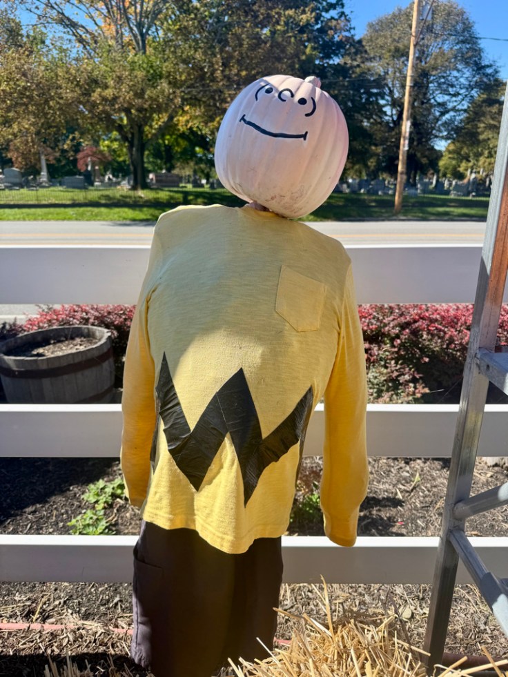 A scarecrow wearing a yellow shirt with a black zigzag pattern, topped with a painted pumpkin as a head, standing in a garden setting.