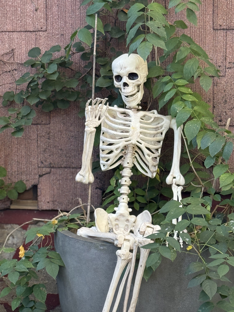 A decorative skeleton seated in a large planter, surrounded by green leaves and a textured background.