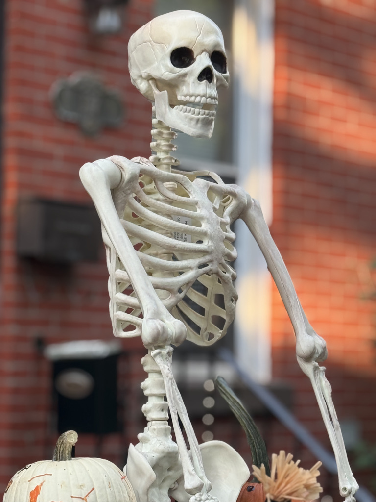 A life-sized skeleton decoration positioned outdoors, with a brick wall in the background, surrounded by pumpkins.