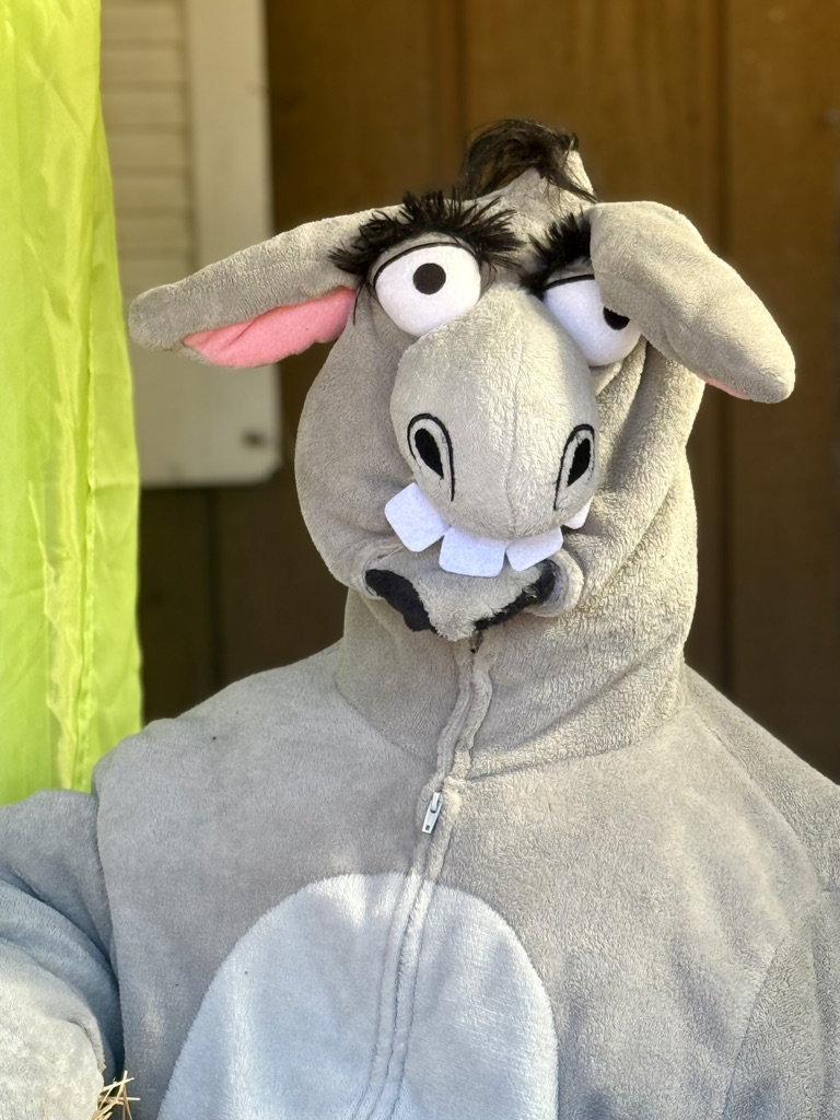A large gray costume resembling a cartoon donkey, featuring big eyes, exaggerated facial features, and a zippered front.