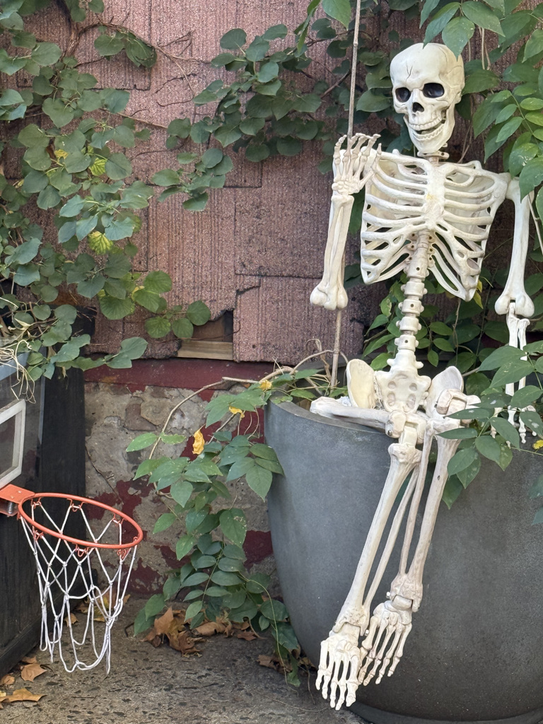 A skeletal decoration sitting in a large planter, surrounded by green vines, with a basketball hoop nearby.