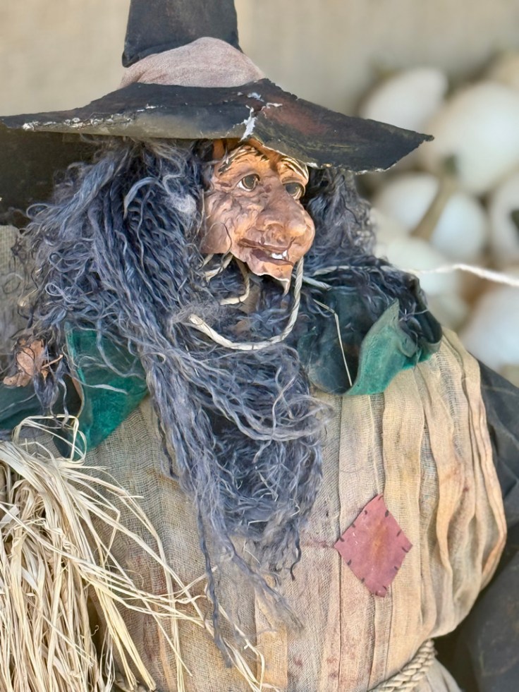 A close-up of a scarecrow figure with a large black hat, long gray hair, and a weathered face, dressed in a tattered outfit of burlap and straw.