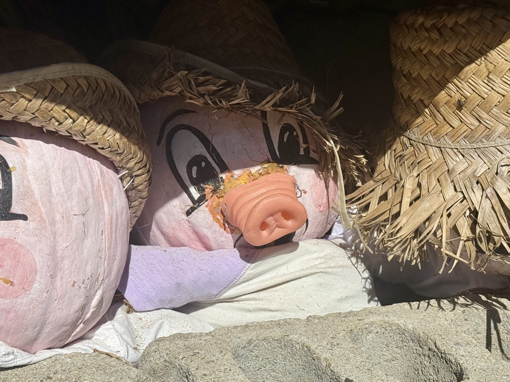 Decorative pumpkin painted to resemble a pig, adorned with a straw hat, peeking out from a display.