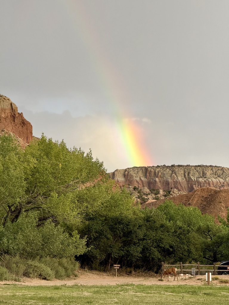 A vibrant rainbow arches over rugged cliffs, with lush green trees and a deer grazing in the foreground.