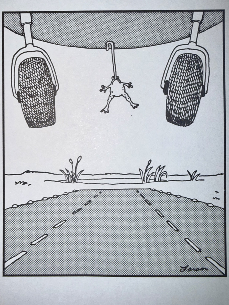 A cartoon image showing the underside of a vehicle with two wheels and a frog hanging from a hook above an empty road bordered by grass.
